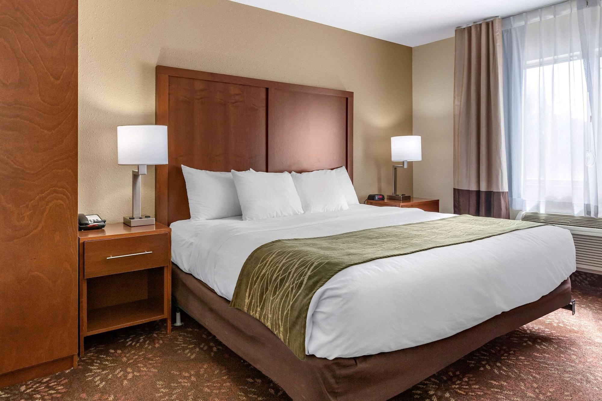 Comfort Inn Okemos - East Lansing Esterno foto