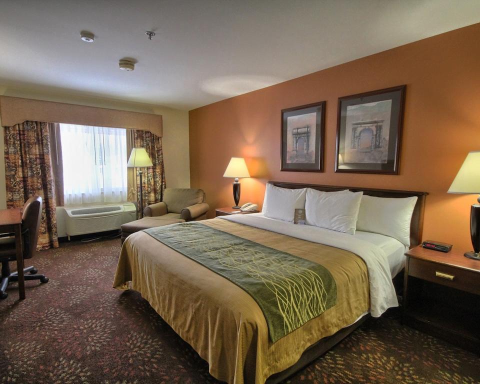 Comfort Inn Okemos - East Lansing Esterno foto